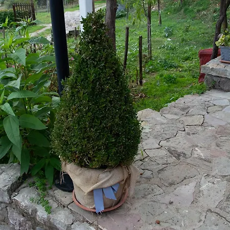 Masseria U Saliere Panzió 3*